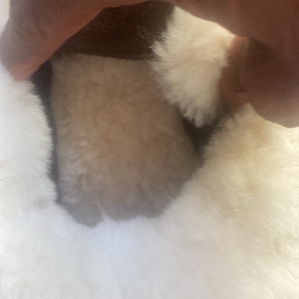 Cozy Brown suede Slippers with White shearling cuff and lining.NWOT - Picture 4 of 5